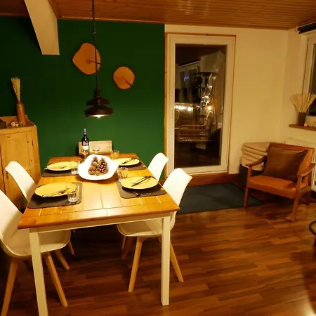 Loft Schwarzwald - Dach-balkon--musik-ecke