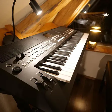 Loft Schwarzwald - Dach-balkon--musik-ecke