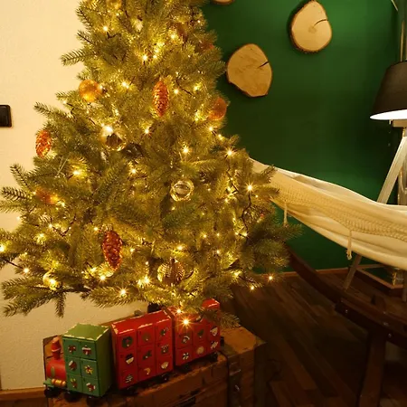 Loft Schwarzwald - Dach-balkon--musik-ecke *